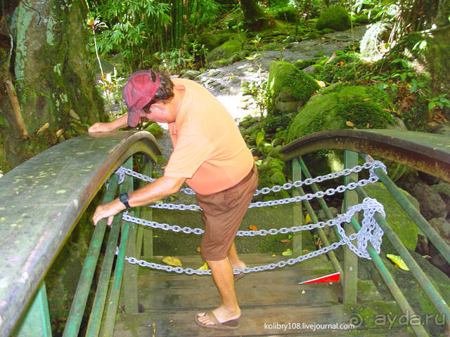 Чьи аборигены съели Кука? И про знакомых королей (остров Таити).