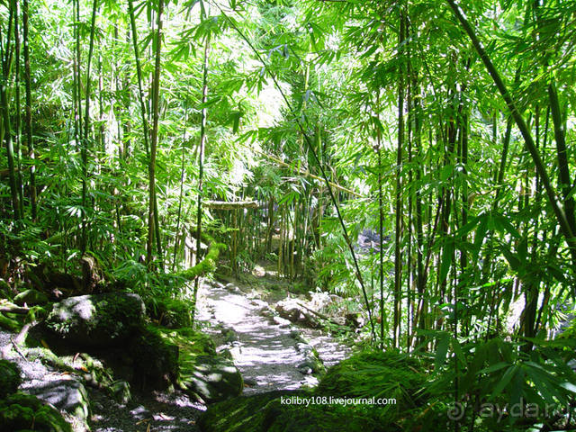 Чьи аборигены съели Кука? И про знакомых королей (остров Таити).