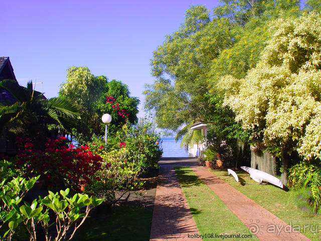 Чьи аборигены съели Кука? И про знакомых королей (остров Таити).