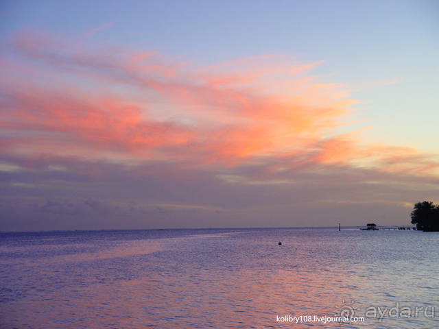 Чьи аборигены съели Кука? И про знакомых королей (остров Таити).