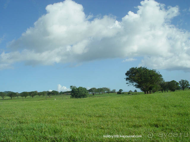 Чьи аборигены съели Кука? И про знакомых королей (остров Таити).