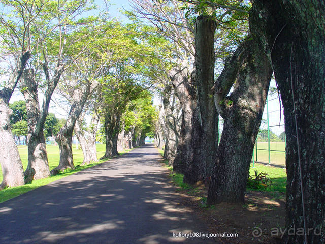 Чьи аборигены съели Кука? И про знакомых королей (остров Таити).