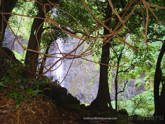 Чьи аборигены съели Кука? И про знакомых королей (остров Таити).