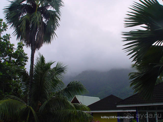 Чьи аборигены съели Кука? И про знакомых королей (остров Таити).