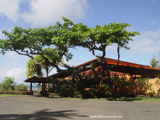Чьи аборигены съели Кука? И про знакомых королей (остров Таити).