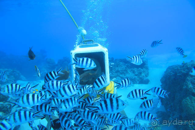"Аквасафари" на острове Бора-Бора.