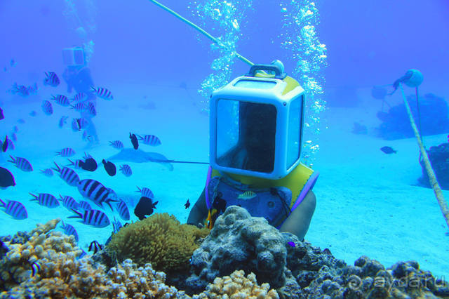 "Аквасафари" на острове Бора-Бора.