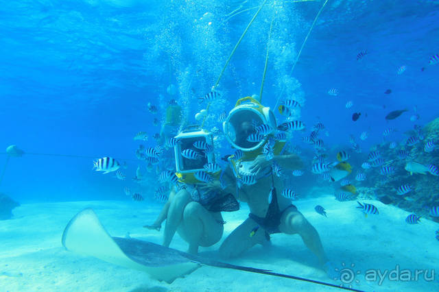 "Аквасафари" на острове Бора-Бора.