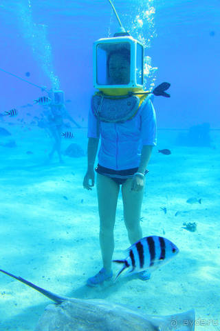 "Аквасафари" на острове Бора-Бора.