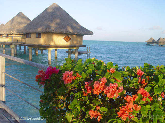 "Аквасафари" на острове Бора-Бора.
