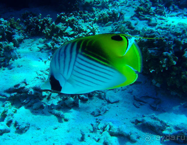 "Аквасафари" на острове Бора-Бора.