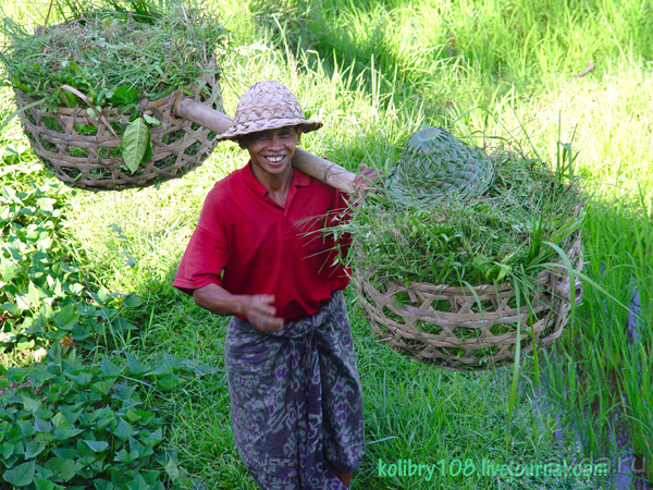 Бали -часть третья.