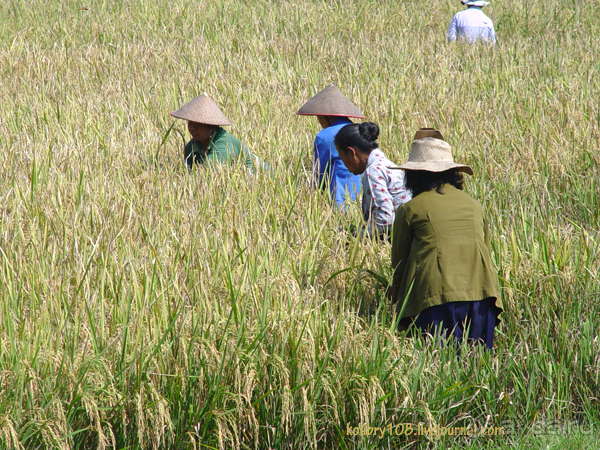 Бали -часть третья.