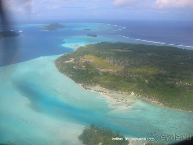 Бора-Бора - заново родившиеся.