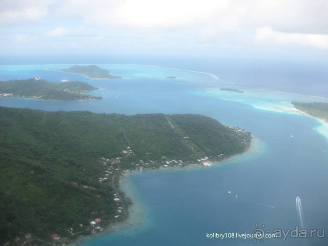 Бора-Бора - заново родившиеся.