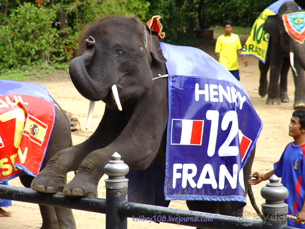 Таиланд. Почем жареные кузнечики? (часть первая)