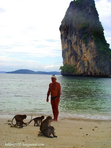 Таиланд. Почем жареные кузнечики? (часть первая)