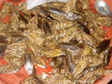 Таиланд. Почем жареные кузнечики? (часть первая)