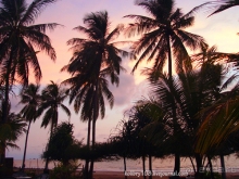 Таиланд. Почем жареные кузнечики? (часть первая)