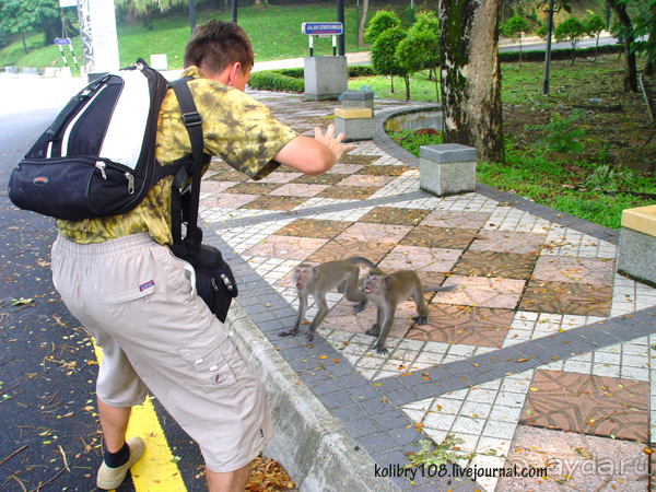 Таиланд. Почем жареные кузнечики? (часть первая)