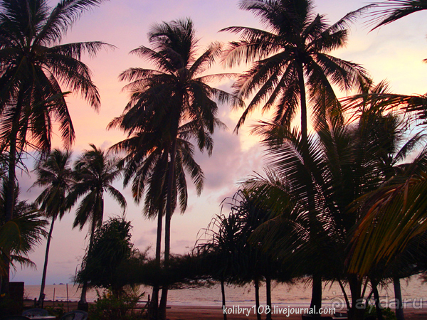 Таиланд. Почем жареные кузнечики? (часть первая)