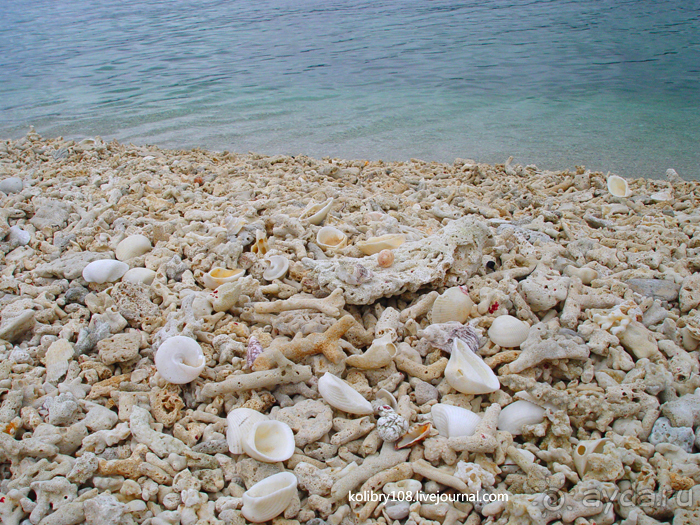 Вануату (Новые Гебриды) – вечная земля.