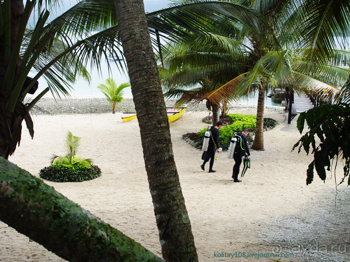 Вануату (Новые Гебриды) – вечная земля.