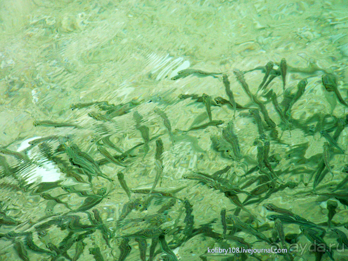 Вануату (Новые Гебриды) – вечная земля.