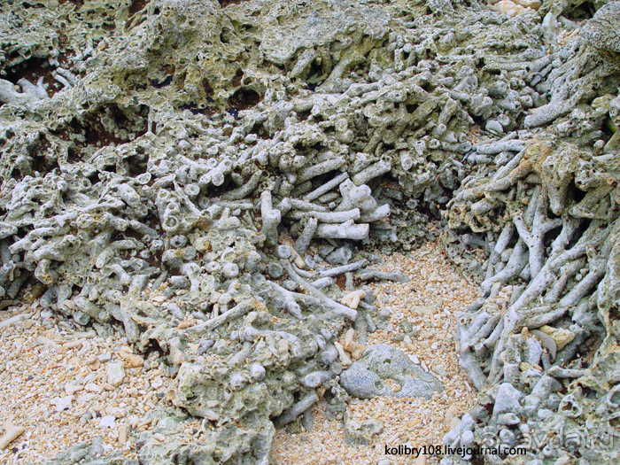 Вануату (Новые Гебриды) – вечная земля.