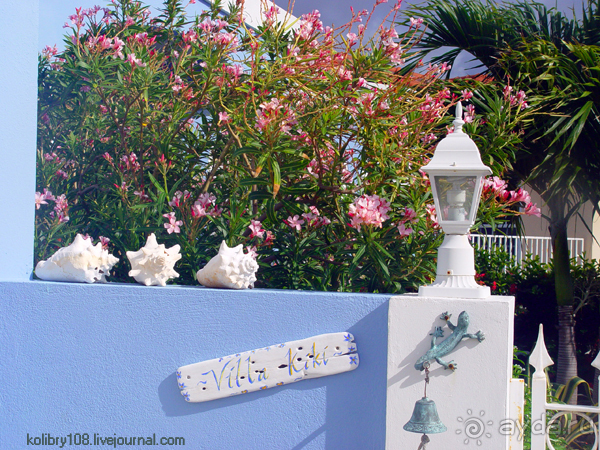 Карибы или прекрасные катастрофы.