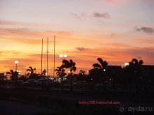 Карибы или прекрасные катастрофы.