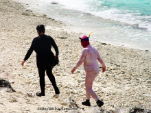 Карибы или прекрасные катастрофы.