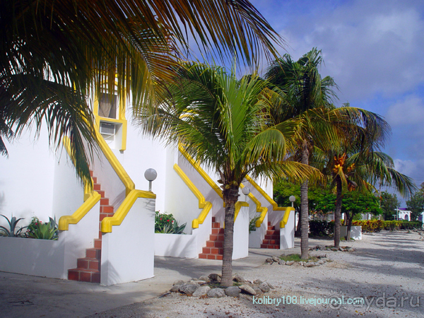 Карибы или прекрасные катастрофы.