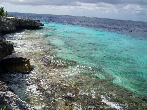 Карибы или прекрасные катастрофы.