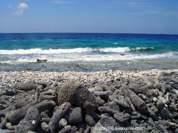 Карибы или прекрасные катастрофы.