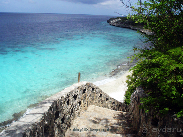 Карибы или прекрасные катастрофы.