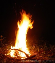 Арабика (Абхазия).