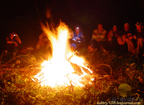 Арабика (Абхазия).