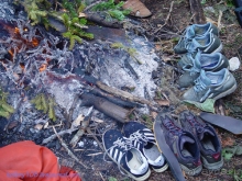 Арабика (Абхазия).