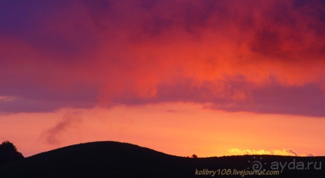 Арабика (Абхазия).