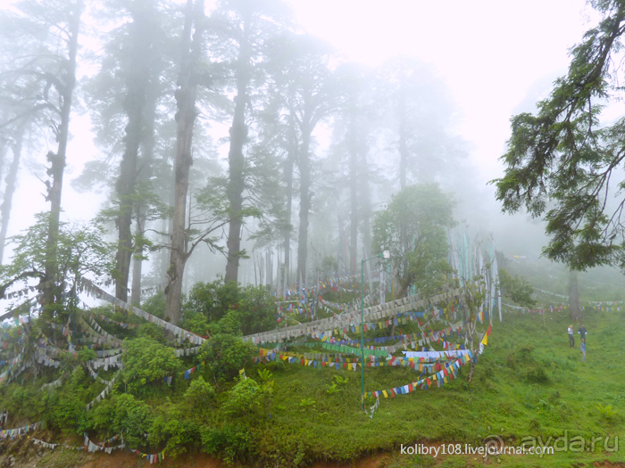 Бутан - страна божественного хулигана Друкпа Кунли (часть 4-я).