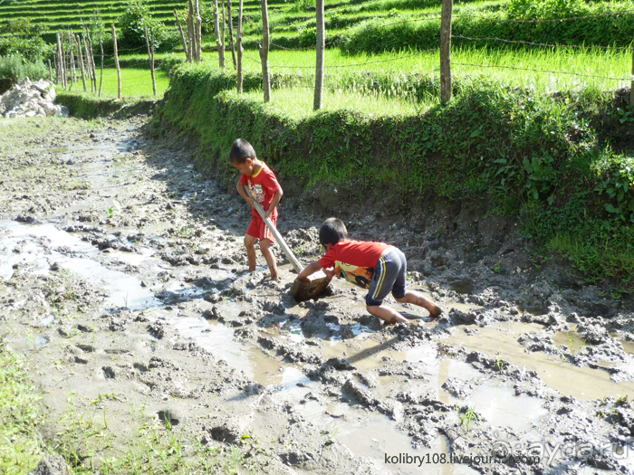 Бутан - страна божественного хулигана Друкпа Кунли (часть 4-я).