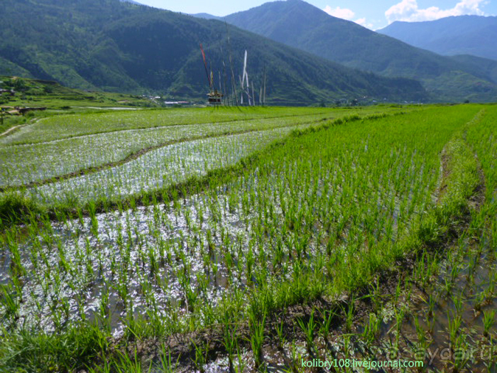 Бутан - страна божественного хулигана Друкпа Кунли (часть 4-я).