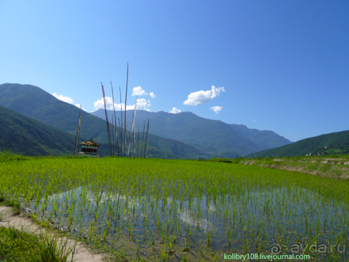 Бутан - страна божественного хулигана Друкпа Кунли (часть 4-я).