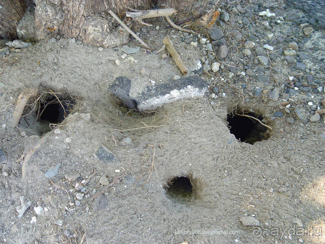 Остров МААРЭ (Moorea) - интрига раскрыта! Французская Полинезия.