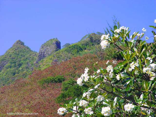 Остров МААРЭ (Moorea) - интрига раскрыта! Французская Полинезия.