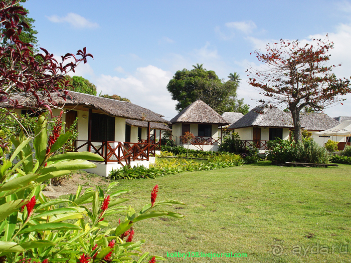 Вануату. Остров Эспириту-Санто.