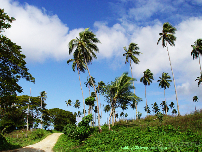 Вануату. Остров Эспириту-Санто.