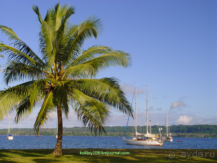 Вануату. Остров Эспириту-Санто.