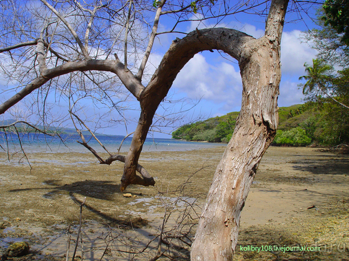 Вануату. Остров Эспириту-Санто.